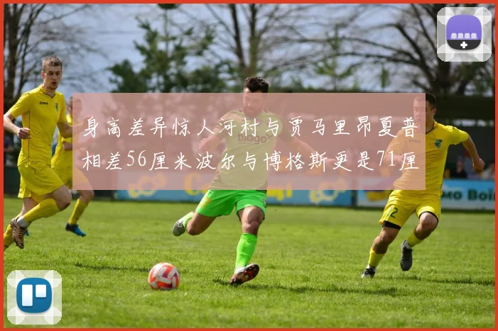 身高差异惊人河村与贾马里昂夏普相差56厘米波尔与博格斯更是71厘米