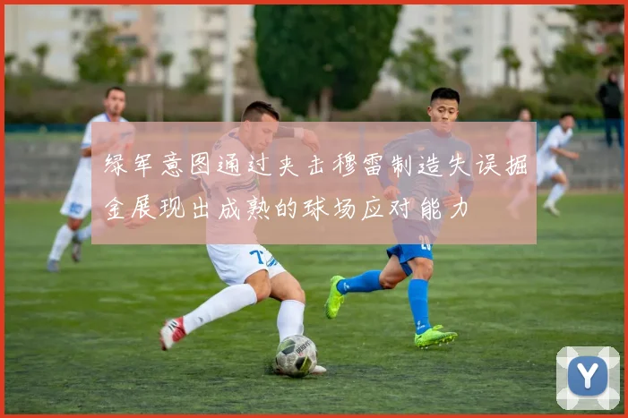 绿军意图通过夹击穆雷制造失误掘金展现出成熟的球场应对能力