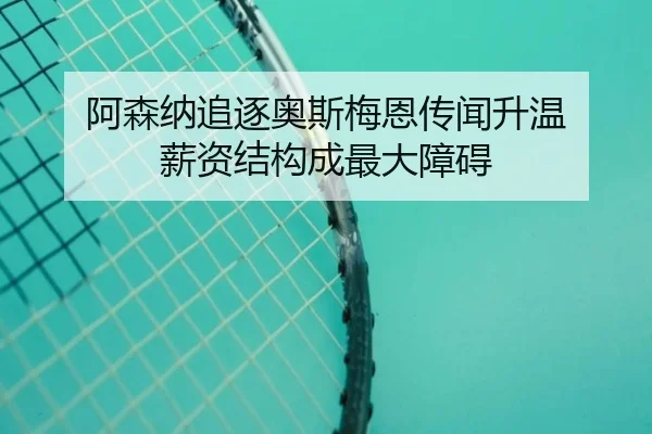 阿森纳追逐奥斯梅恩传闻升温 薪资结构成最大障碍 | leyusports